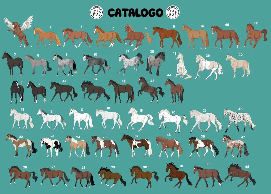 Opciones del producto