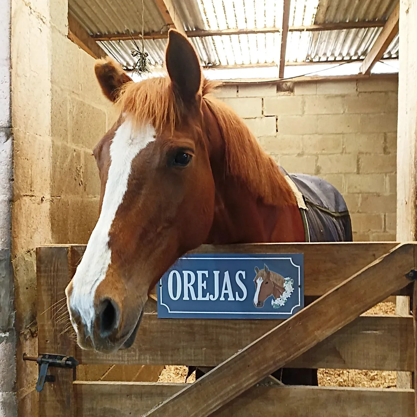 Imagen de la galería n° 14