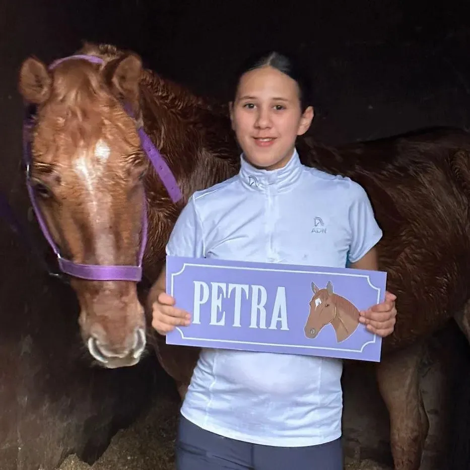 Imagen de la galería n° 15