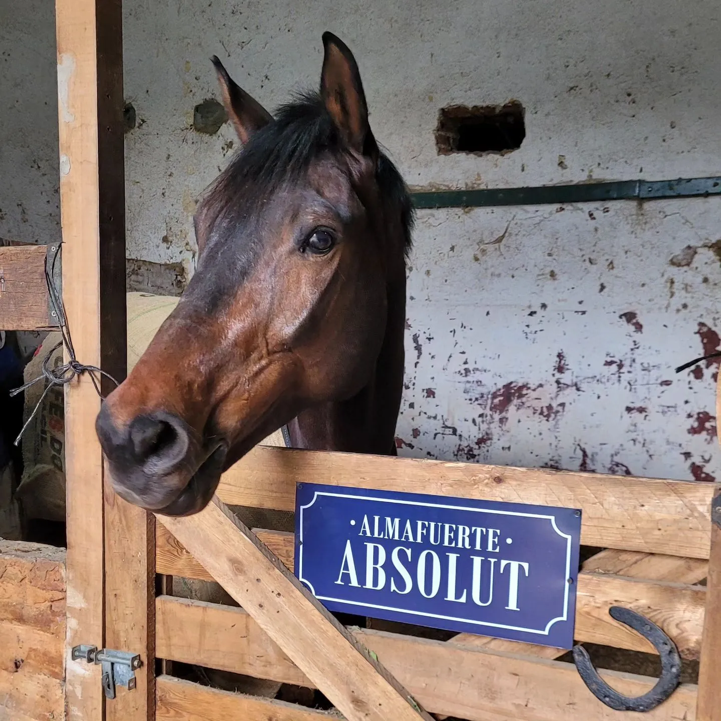 Imagen de la galería n° 17