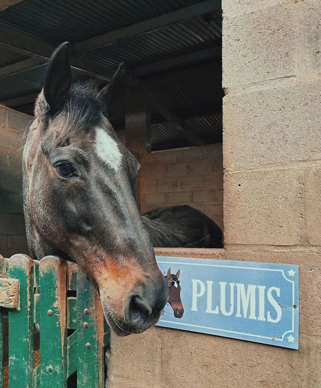 Imagen de la galería n° 18