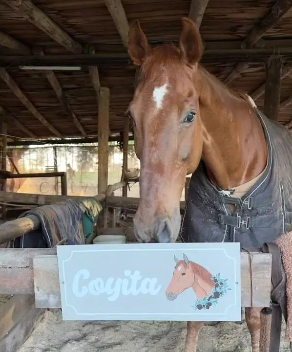 Imagen de la galería n° 20