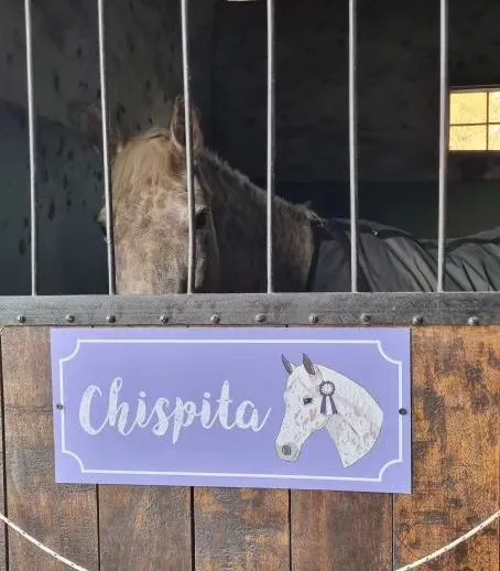 Imagen de la galería n° 22