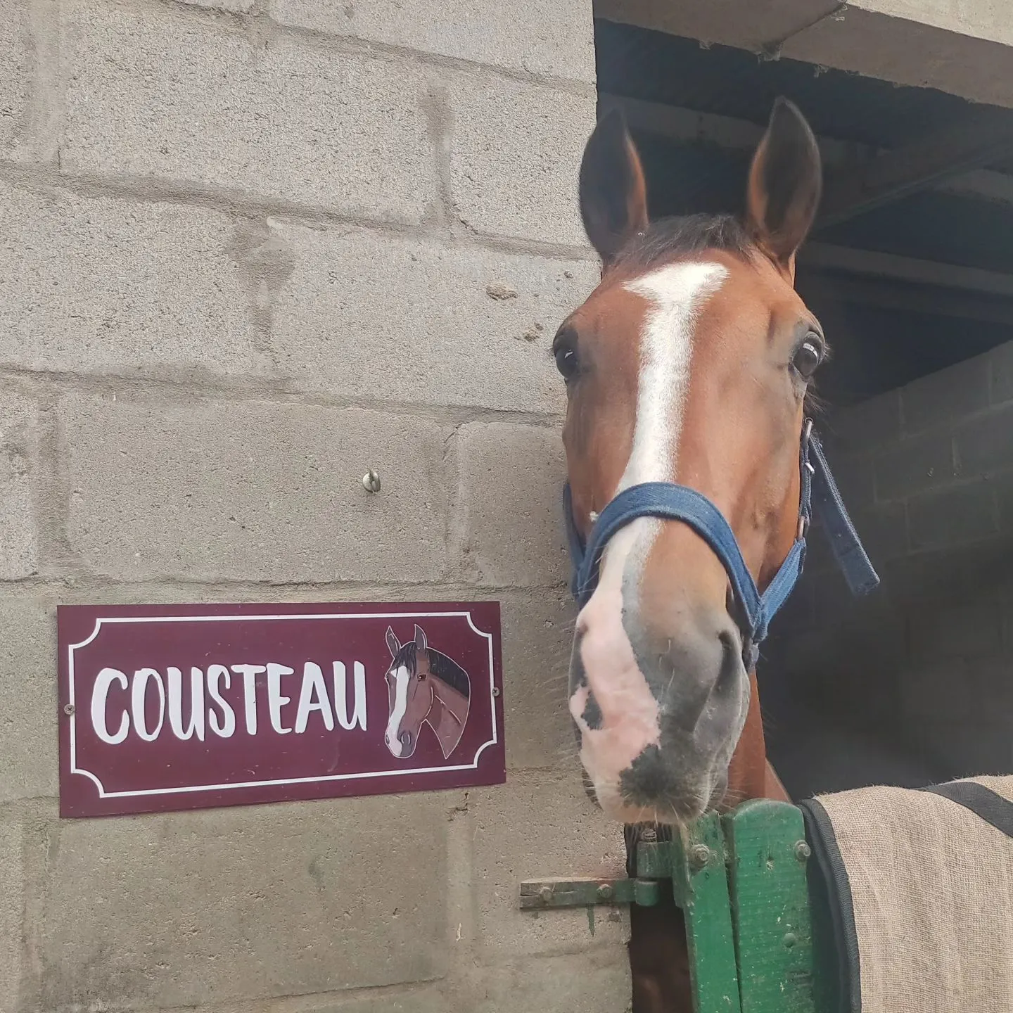 Imagen de la galería n° 28