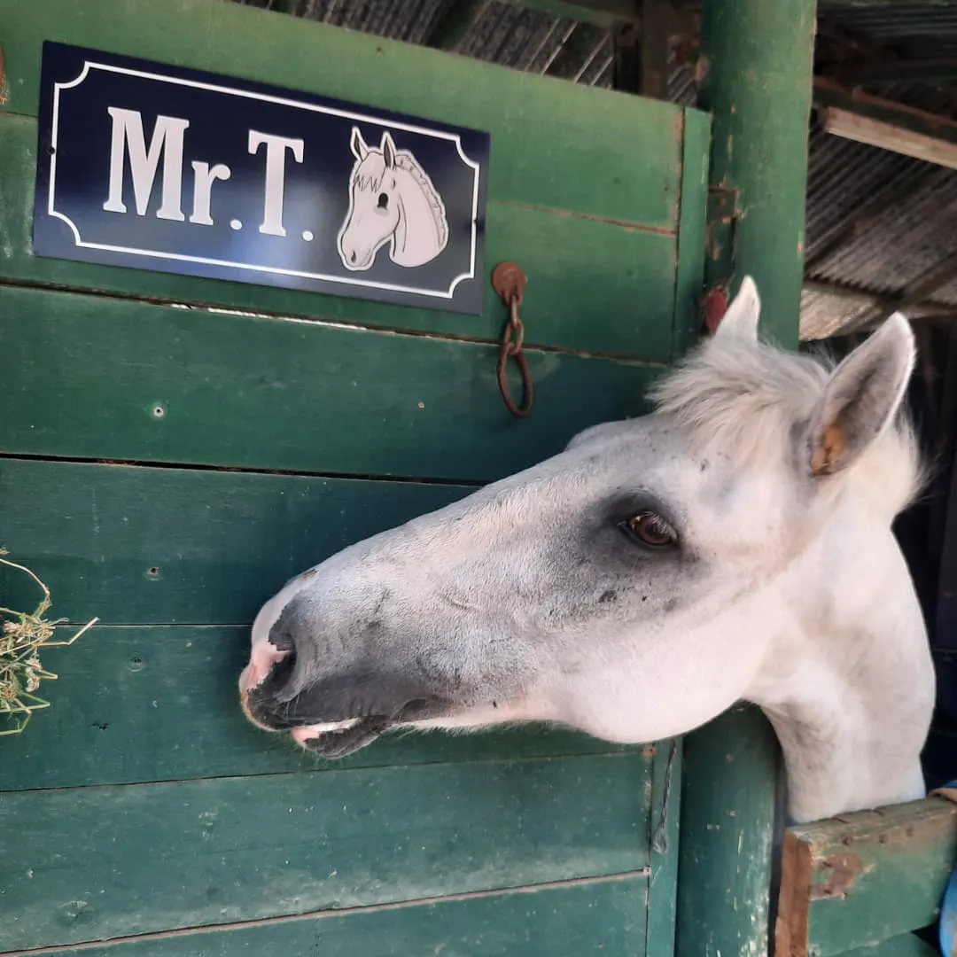 Imagen de la galería n° 44