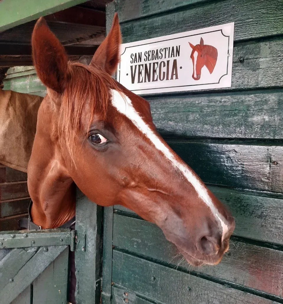 Imagen de la galería n° 46