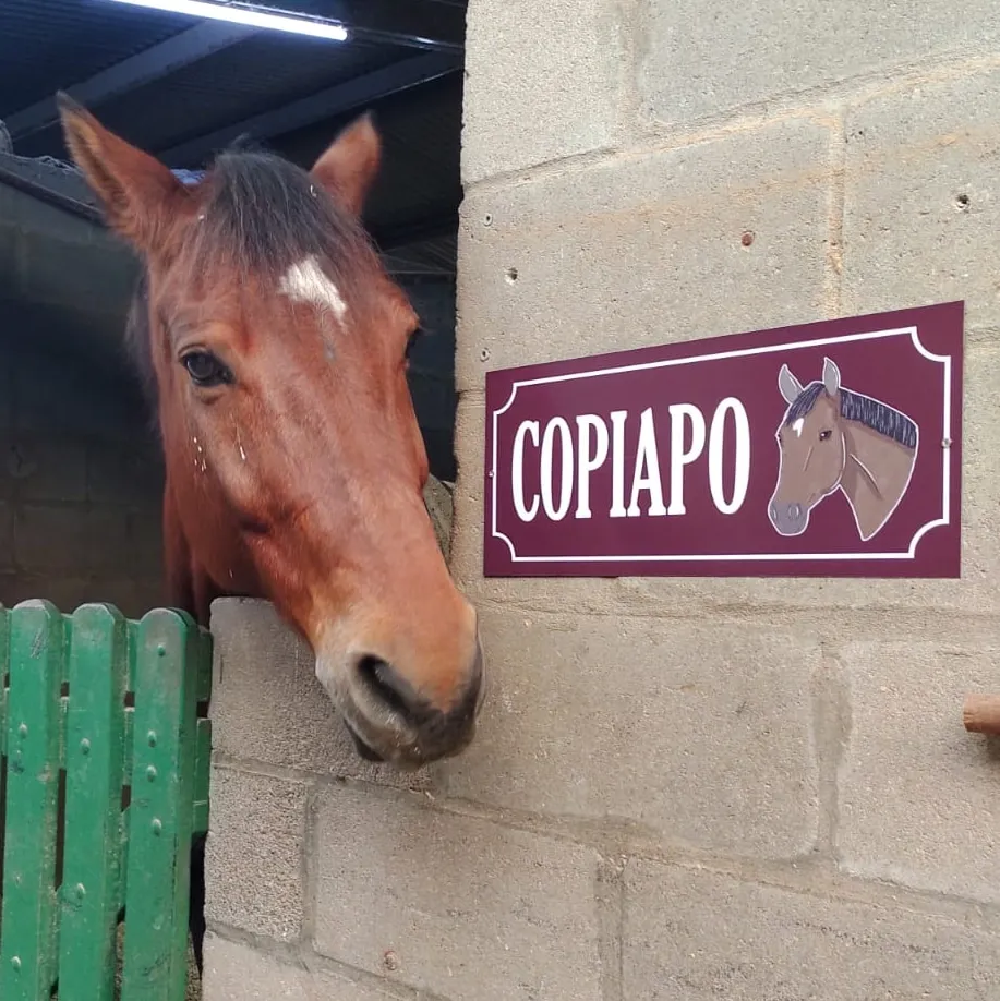 Imagen de la galería n° 47