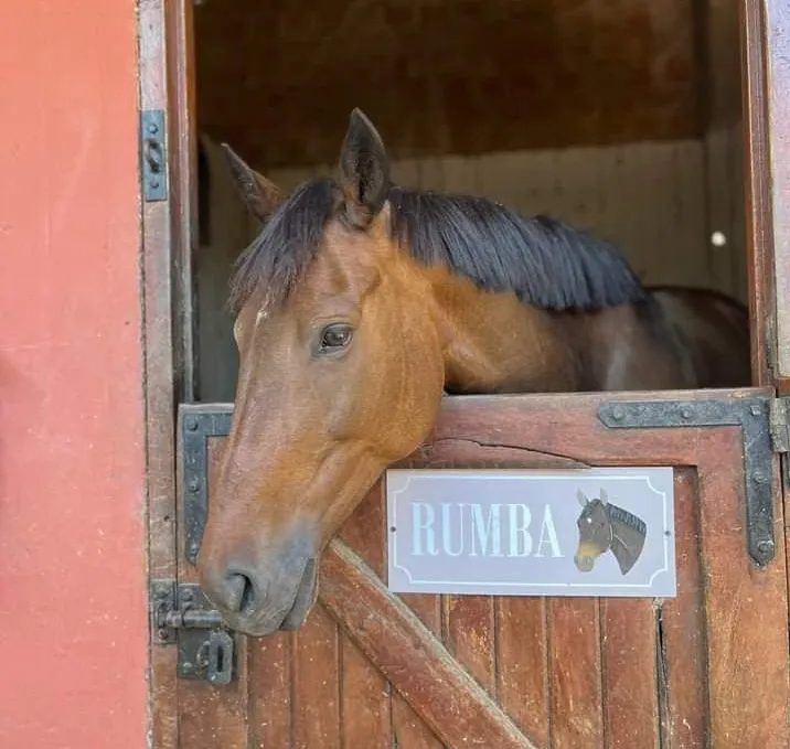 Imagen de la galería n° 43