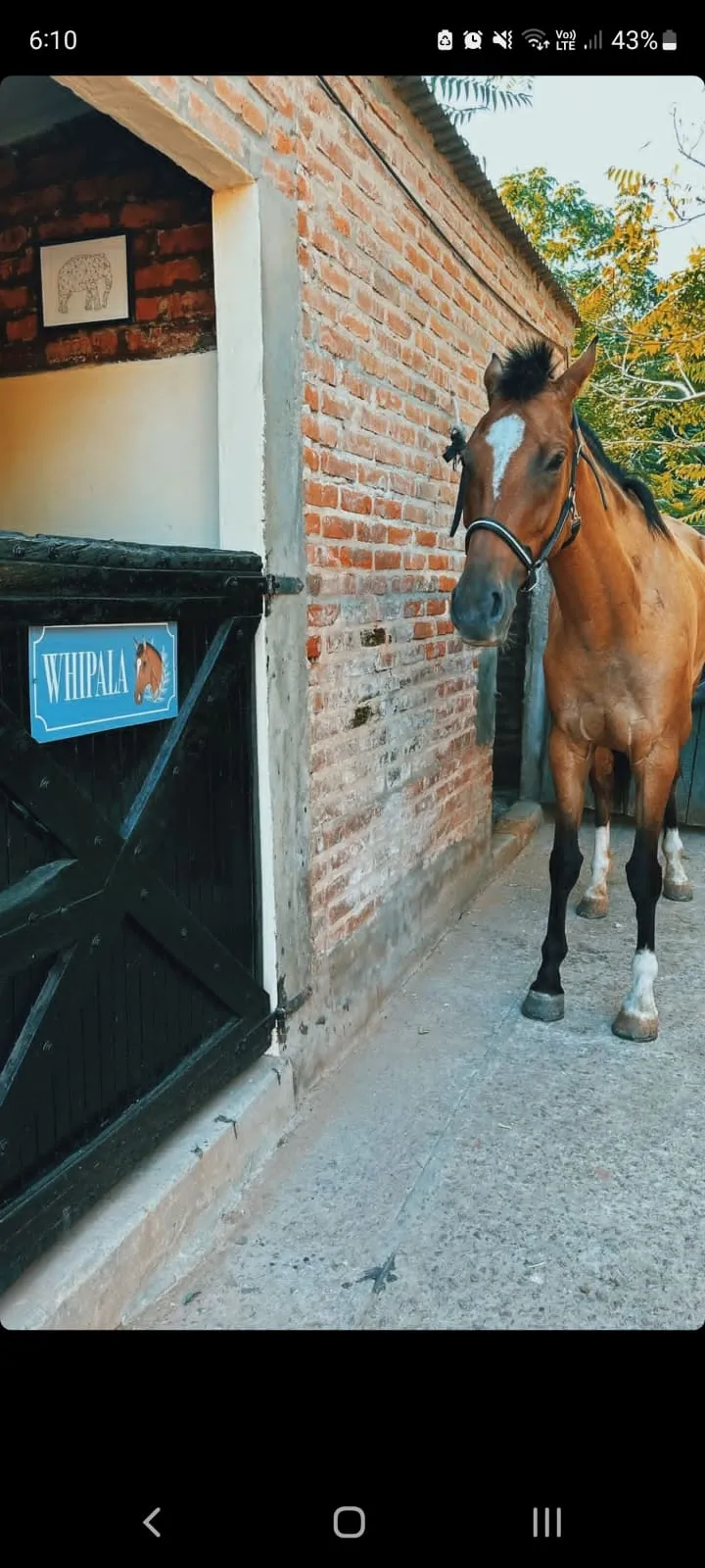 Imagen de la galería n° 49