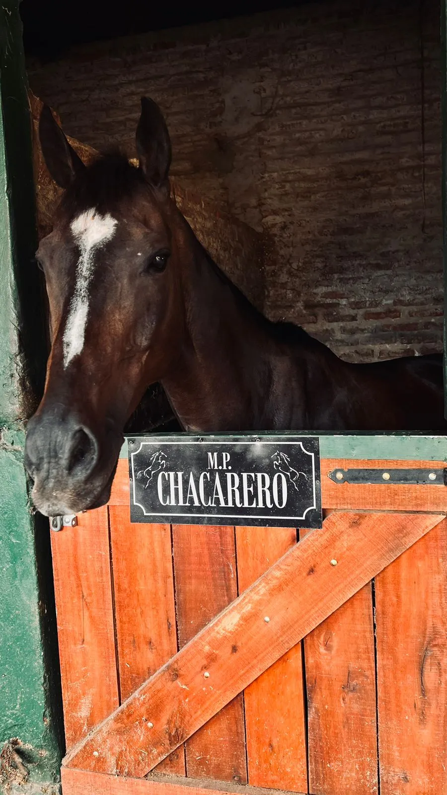 Imagen de la galería n° 50