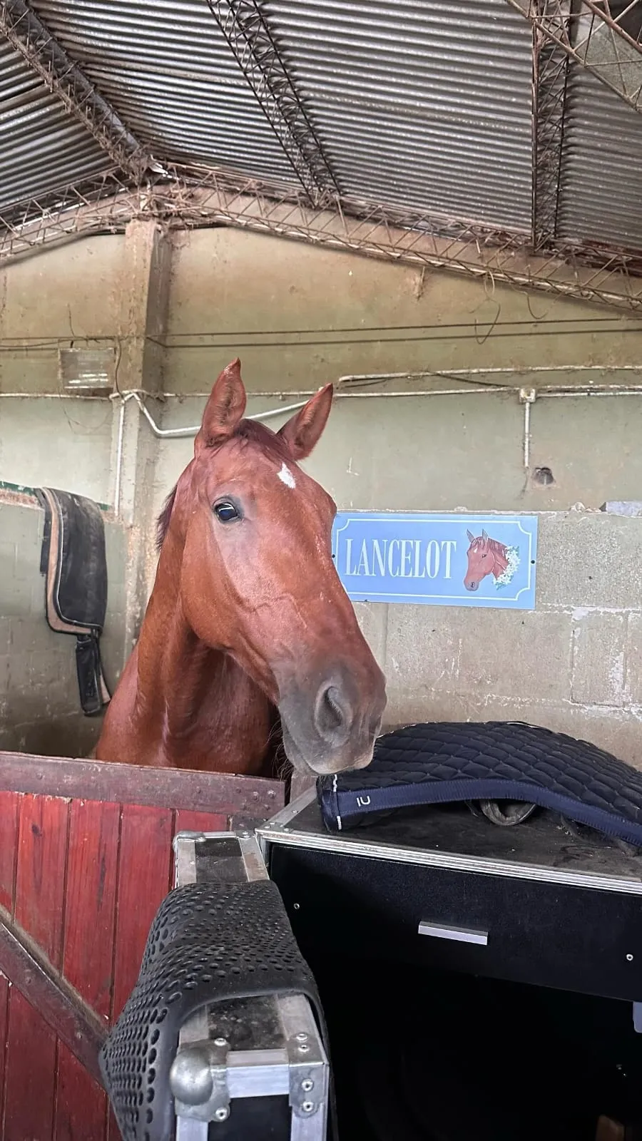 Imagen de la galería n° 53