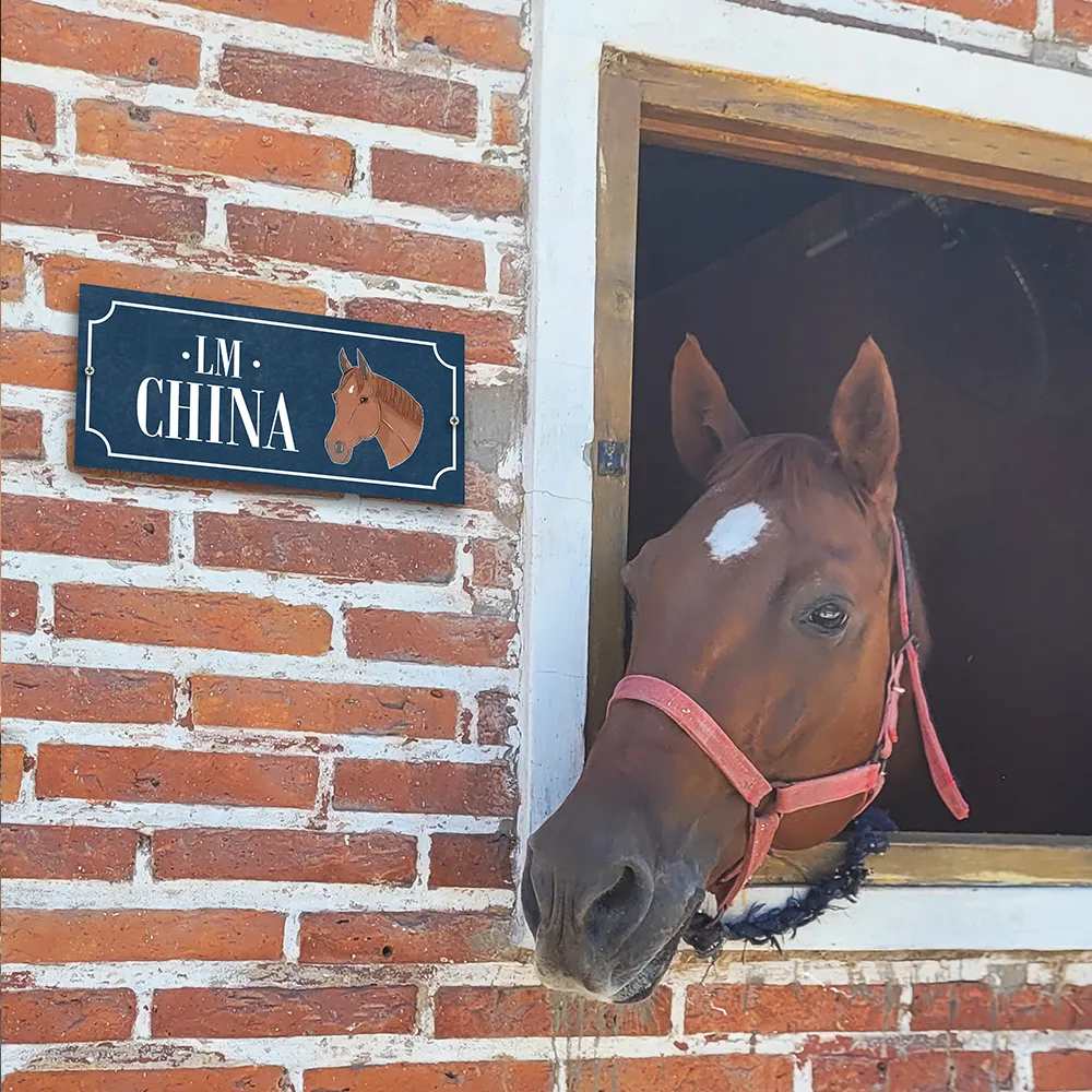 Imagen de la galería n° 35