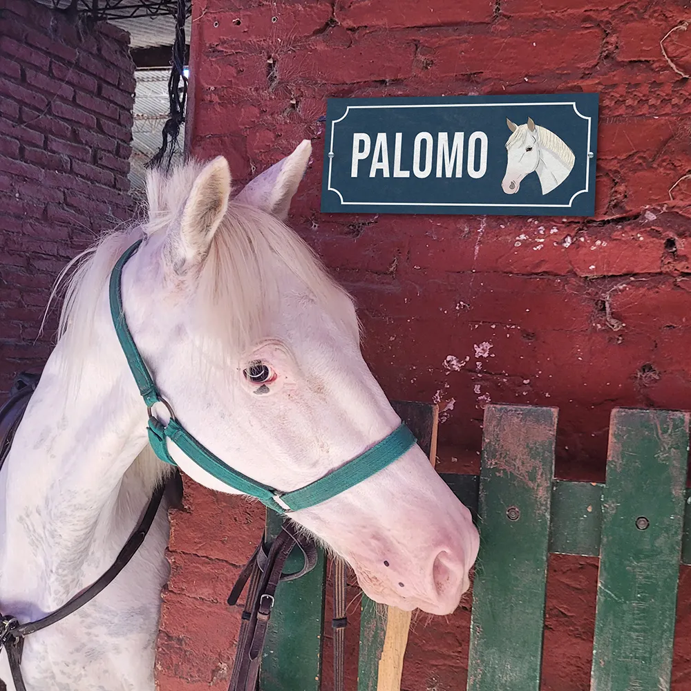 Imagen de la galería n° 40