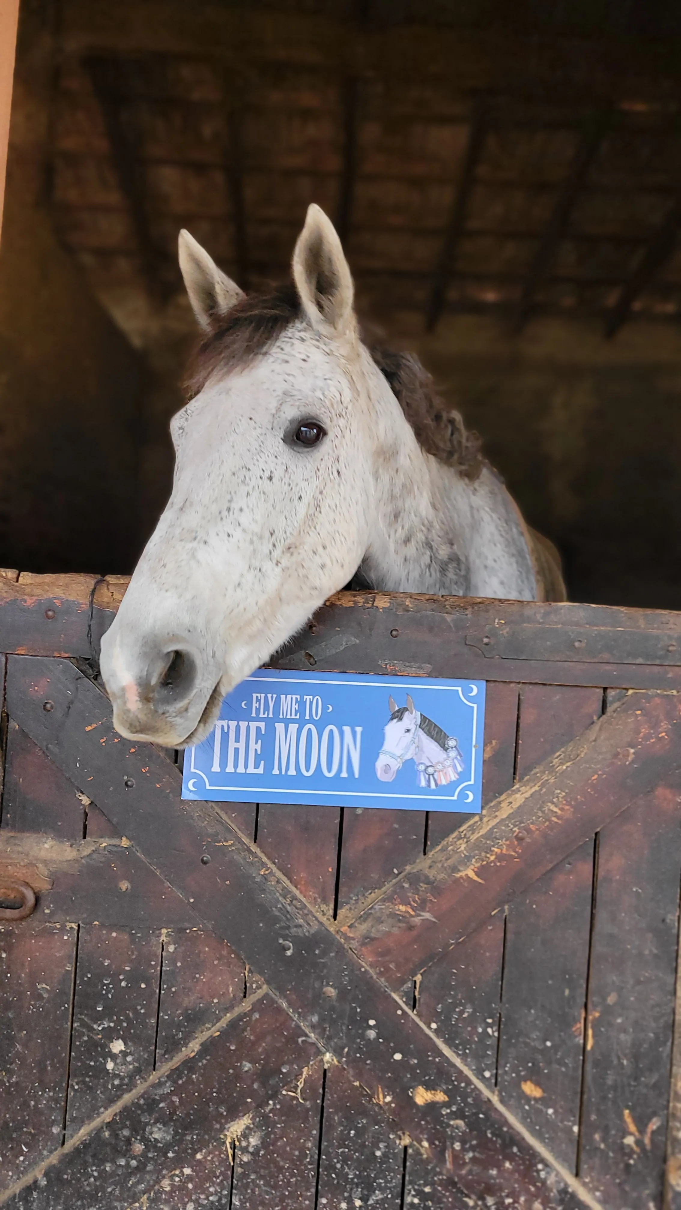 Imagén del producto N° 1