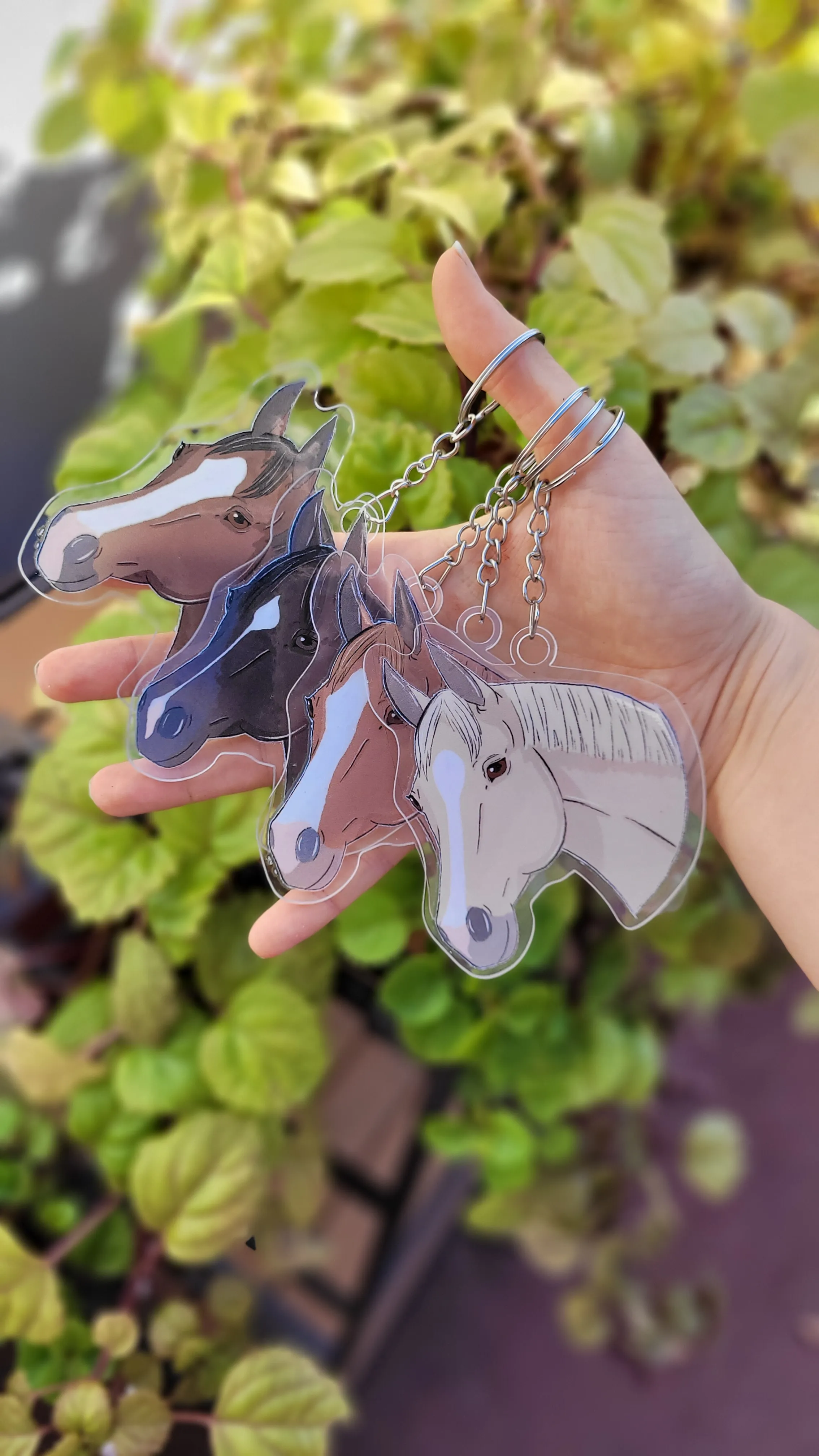 Imagén del producto N° 10