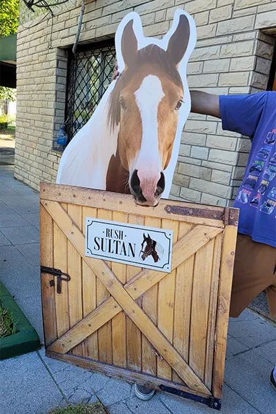 Imagén del producto N° 7