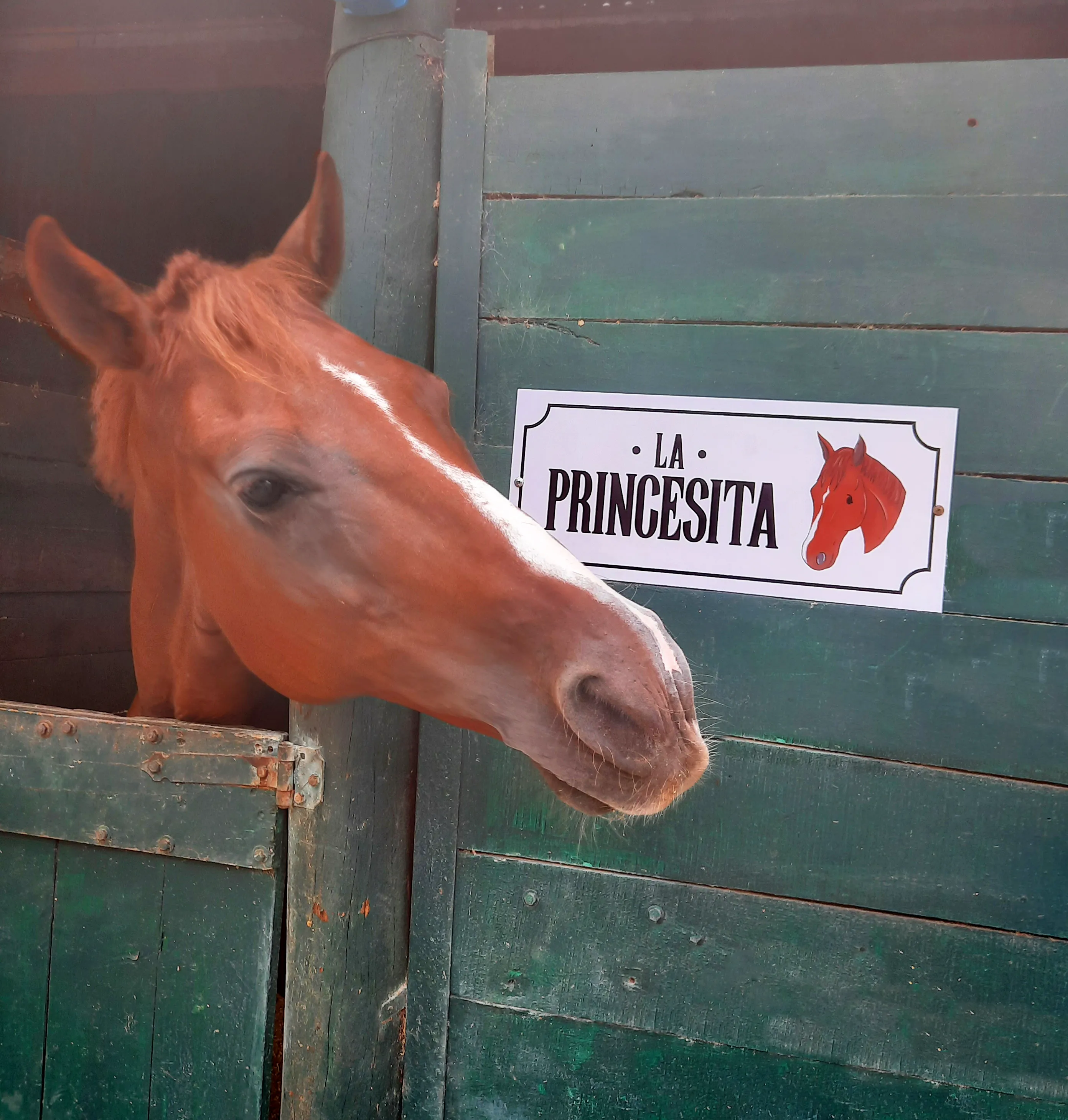 Imagen de la galería n° 48